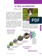 3 - Ecologia - Fluxos de Energia