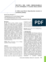 Conservacion Colombiana 14 8-Ognorhynchus Icterotis Reproduccion