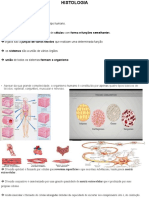 2-Aula HISTOLOGIA Tecido Epitelial 2