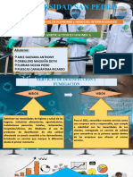 Plan Estratégico - Empresa de Fumigación