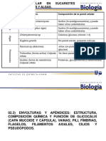 T02 Estructura - Microbiana 222B