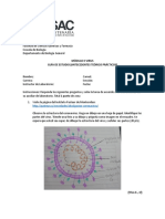 Antecedentes Practica 2. VIRUS BG 2021