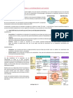 FV Tema 4