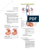 Circulatory System REVIEWER