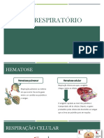 Guia e Estudo C.N. 6ºano - Sistema Respiratório