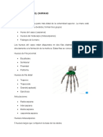 Sindrome Del Tunel Carpiano