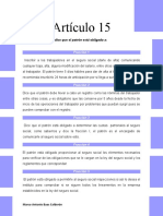 Análisis Del Artículo 15