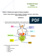 EVIDENCIA 2 Cuidado Del Cuerpo H