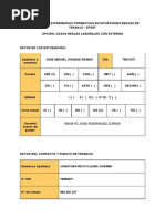 Informe Final Experiencias Formativas en Situaciones Reales de Trabajo - Efsrt