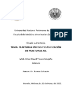 Clasificación de Fracturas