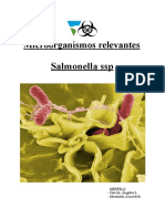 Salmonella Informe