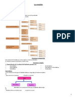 La Oración Simple Apuntes