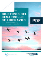 Objetivos Del Desarrollo de Liderazgo