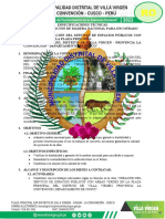 12 - TDR Madera Nacional para Encofrado-1