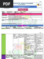 Planificacion - 3ro Egb-Proyecto 5 - 2020-2021 Ehemplo