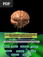 Copia de El Ser Humano Como Sujeto de Procesos Ps