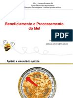 Aula - Beneficiamento e Processamento Mel