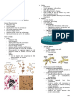 Midterms - Mycology