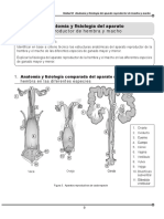 Reproduccion - Animal (1) - 17-26