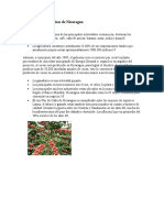 Actividades Económicas de Nicaragua