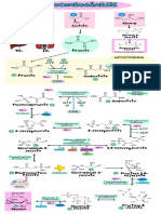 Gluconeogenesis