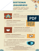 Infografía - Sistema Adquirido