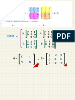 Ejercicios de Particion de Matrices y Producto Kronecker