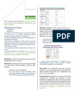 Infectología Pediátrica Primer Parcial