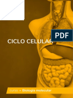 Ciclo Celular