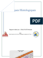 Rapport Histologique