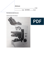 Microscopes and Cells Student Worksheet Fa21 