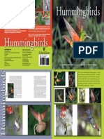 Hummingbirds Hummingbirds: Hummingbirds, Possibly The Most Expansive Visual Record and Natural