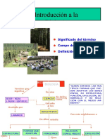 2022-1-10 Presentacion Introduccion A Biologia