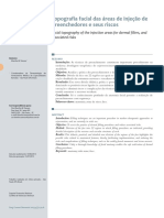 v5 Topografia Facial Das Areas de Injecao de Preenchedores e Seus Riscos