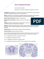 Tema 9 Organografía