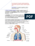 Teoría Aparato Respiratorio