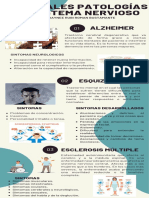Principales Patologías Del Sistema Nervioso