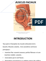 2 - Les Muscles Faciaux