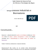 Bioprocessos e Biorreatores