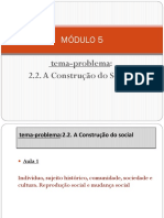 Integração - Tema-Problema 2.2.