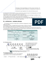 Topologies Physiques