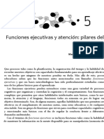 Funciones Ejecutivas y Atención