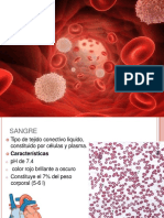 Sangre y Hematopoyesis