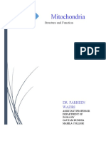 Mitochondria: Structure and Function