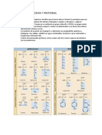 Tema 5, 6 Biología