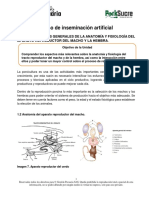 Unidad 1. Aanatomía y Fisiología Del Aparato Reproductor