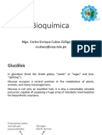 Bioquímica: Blgo. Carlos Enrique Cubas Zúñiga M. Sc. Ccubasz@unp - Edu.pe