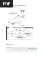 Organización en Red