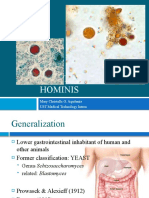 PARA - B. Hominis - Psuedomonas