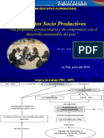 Proyectos Socioproductivos